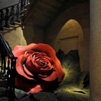 Amo-Verona_01.jpg