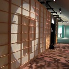 Exhibition-That's Butterfly_06.jpg