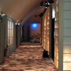 Exhibition-That's Butterfly_08.jpg